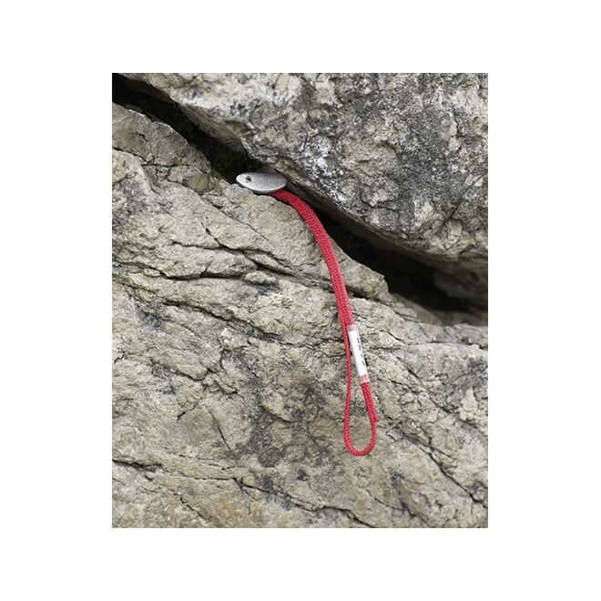 CAMP Tricam Evo Größe 0.25 Kletterdorn