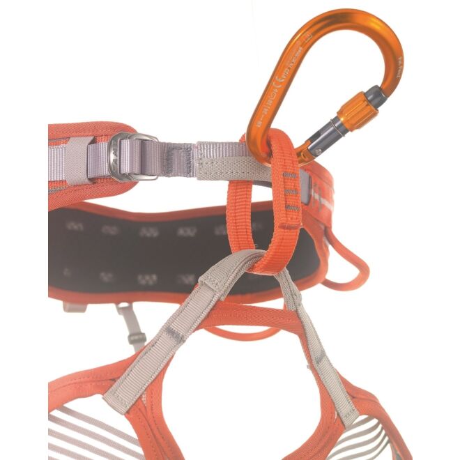 CAMP Core Lock karabiner mit Schraubverschluss klettern