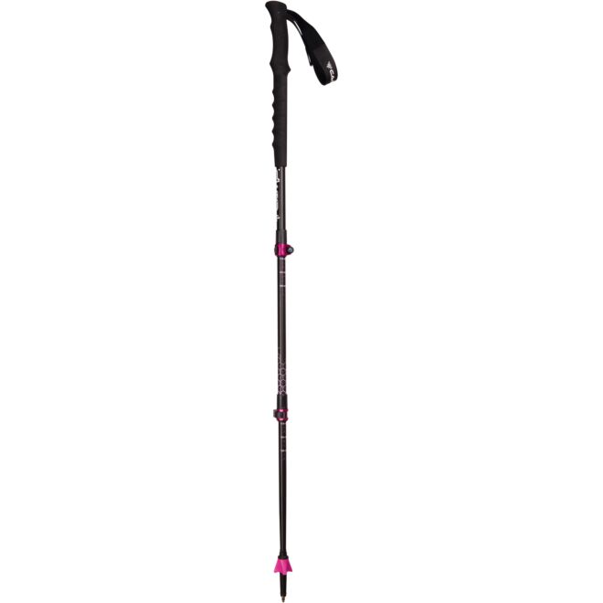 CAMP Backcountry GT W teleskopstöcke