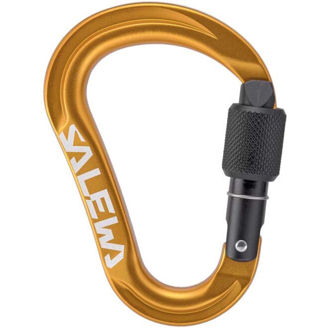 SALEWA Ortles HMS S karabiner mit Schraubverschluss klettern