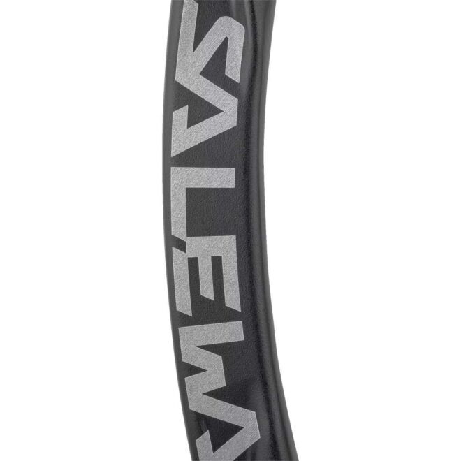 SALEWA Ortles Straight Carabiner Kletterkarabiner