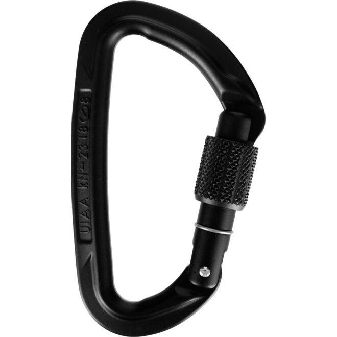 Wild Country Session karabiner mit Schraubverschluss klettern