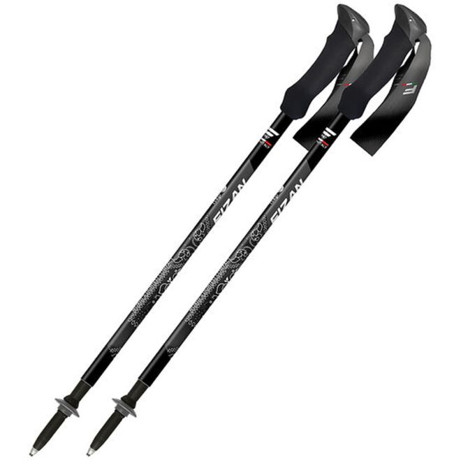 Fizan Compact MS trekkingstöcke
