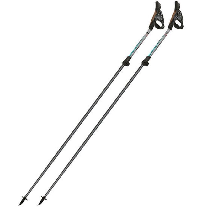 Fizan Carbon Pro Impulse Nordic Walking-Stöcke
