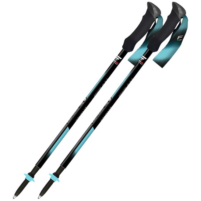 Fizan Compact Tech trekkingstöcke