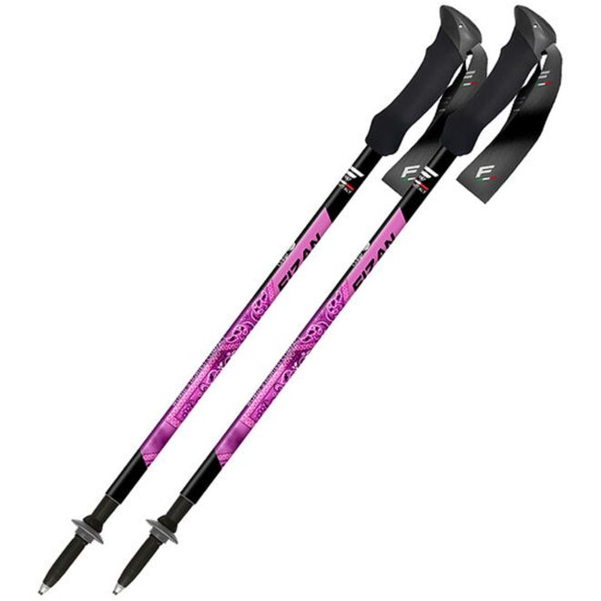 Fizan Compact MS trekkingstöcke