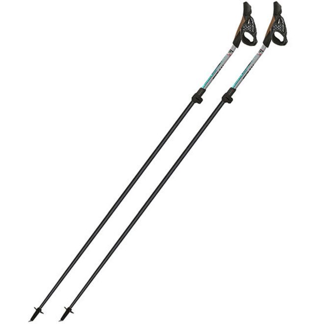 Fizan Tekno Impulse Nordic Walking Stöcke