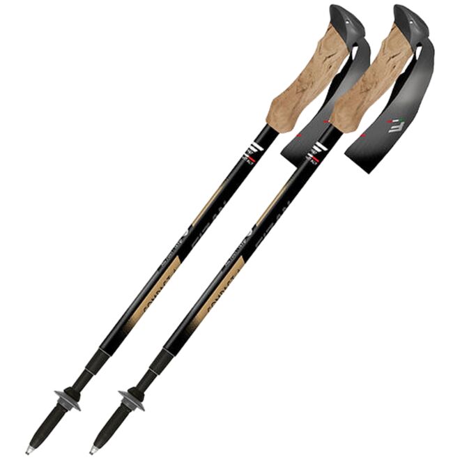 Fizan Compact Tech 4 Trekkingstöcke