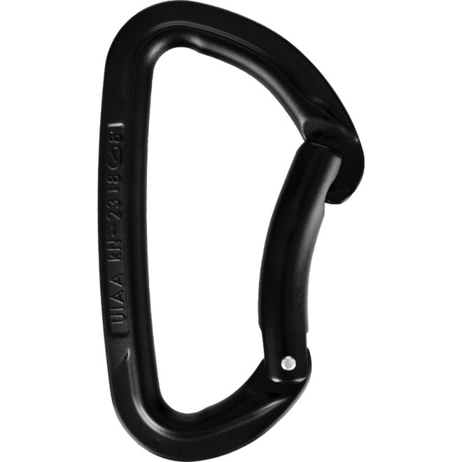 Wild Country Session Bent Gate Kletterkarabiner gebogene Schnalle