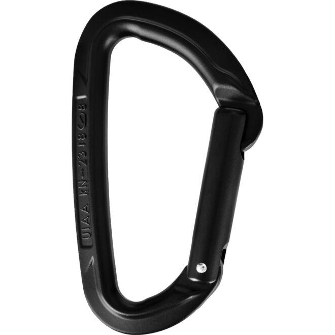 Wild Country Session Straight Gate karabiner kletteren gerade Schnalle