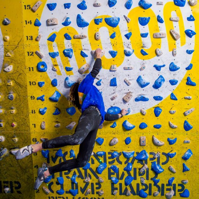 Moon School Holds - Set D 40 Klettergriffe