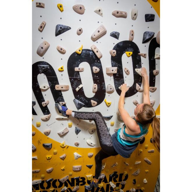 Moon School Holds Set B 50 Klettergriffe