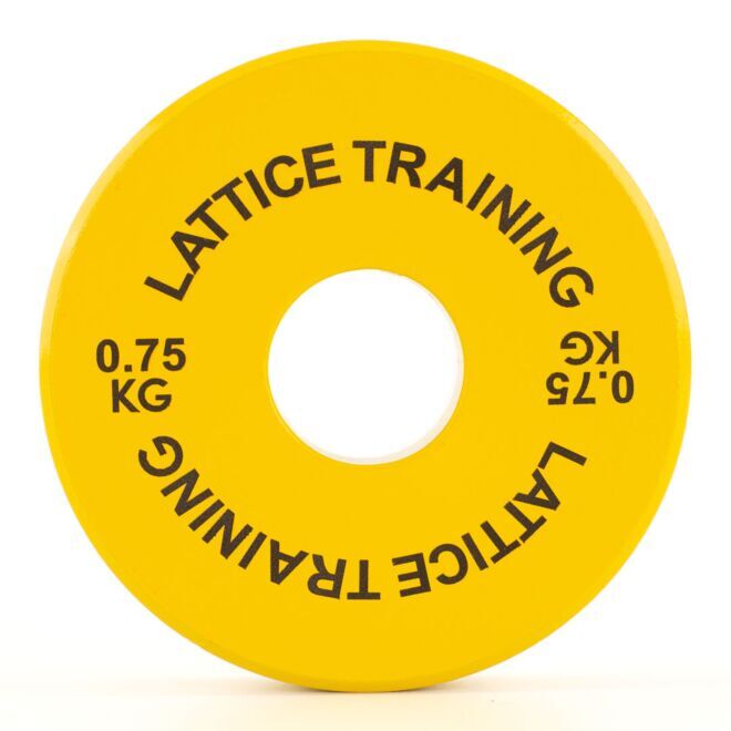 Lattice Training Fractional Weight Plates Gewichtsscheiben