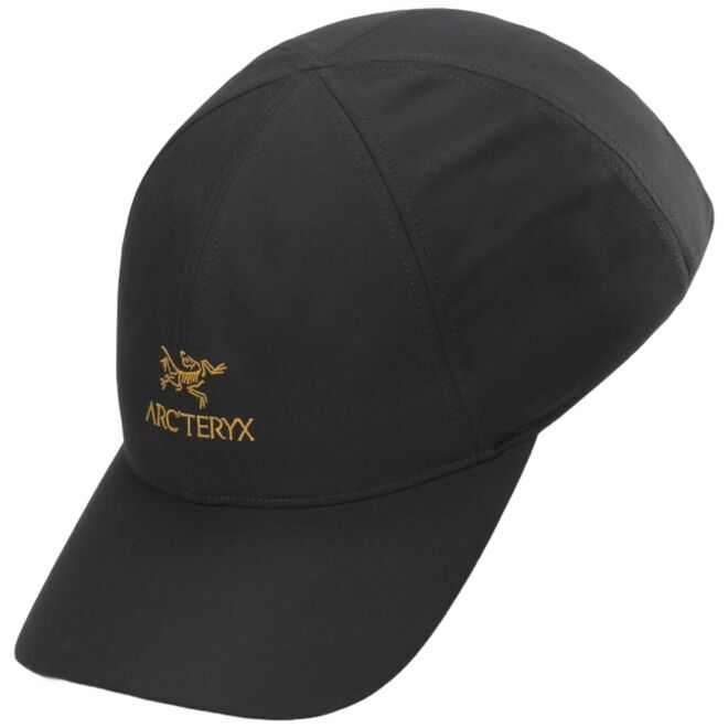 Arc'teryx Bird Word cap