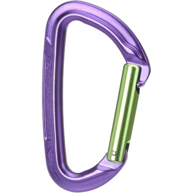 Wild Country Session Straight Gate karabiner kletteren gerade Schnalle
