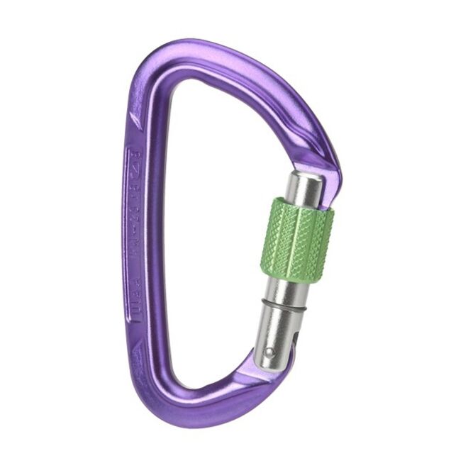 Wild Country Session karabiner mit Schraubverschluss klettern