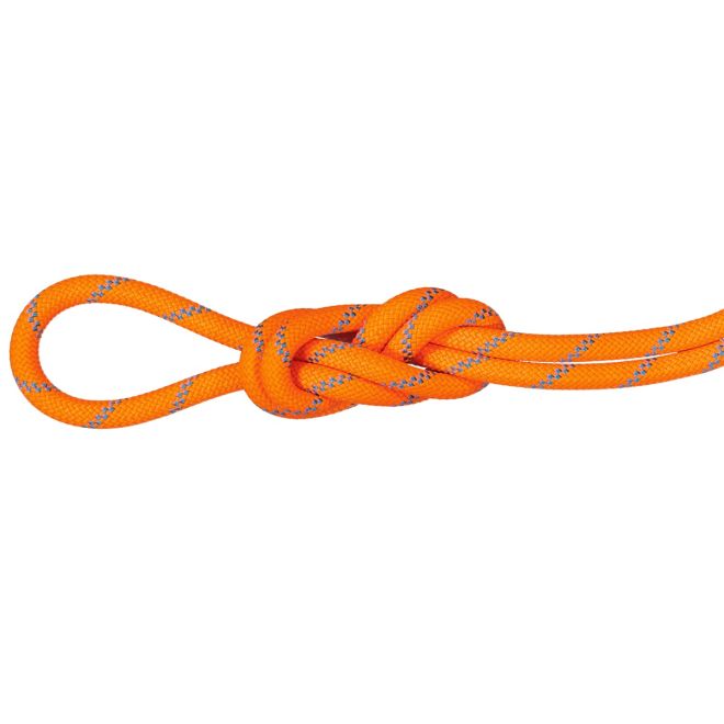 Mammut 8.7 Alpine Sender Dry Rope Kletterseil