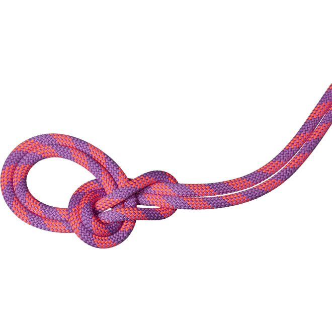 Mammut 9.5 Crag Dry Rope Duodess Kletterseil