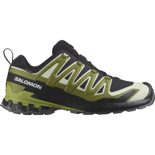 Salomon XA Pro 3D V9 GTX Trailrunning-Schuhe