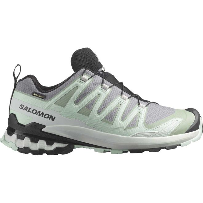 Salomon Shoes XA Pro 3D V9 GTX W Wanderschuhe