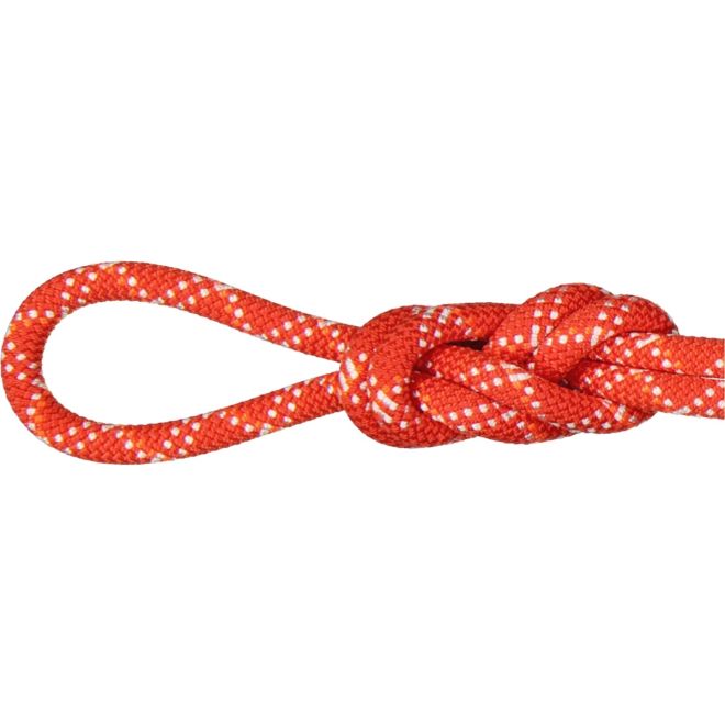 Mammut 9.5 Gym Classic Rope Kletterseil